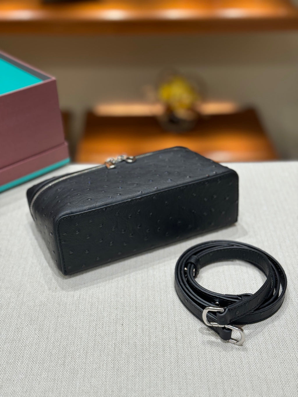 Loro Ostrich Leather Clutch 19